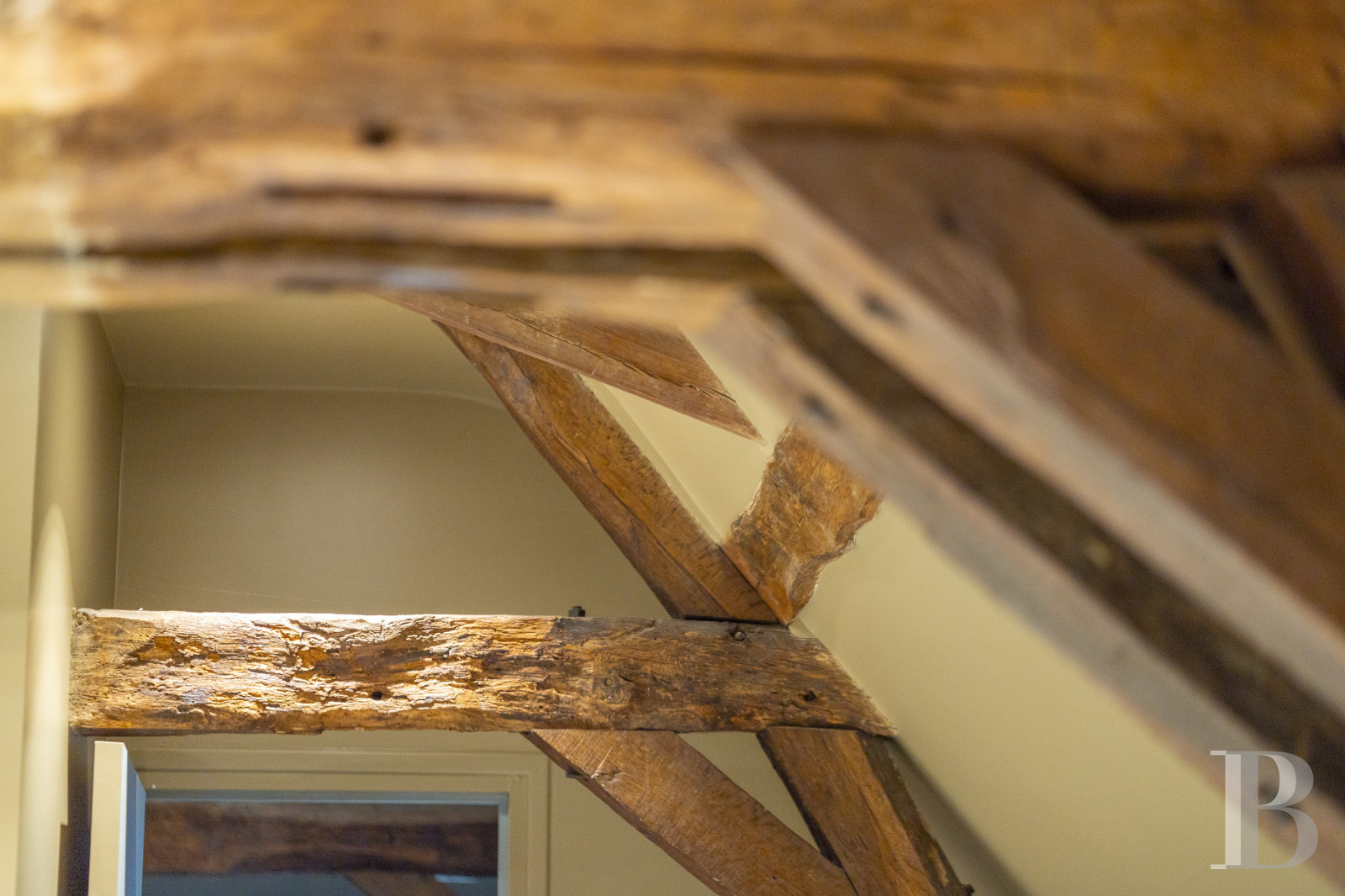 A 17th and 19th century Touraine château in the south of the Indre-et-Loire department, halfway between Tours and Poitiers - photo  n°42